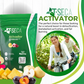Infusion Tea Activator & Detox | A Powerful Blend for Your Well-Being