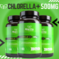 Marita Chlorella + Organic Silicon | Superfood for Vitality