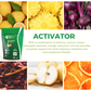 Infusion Tea Activator & Detox | A Powerful Blend for Your Well-Being